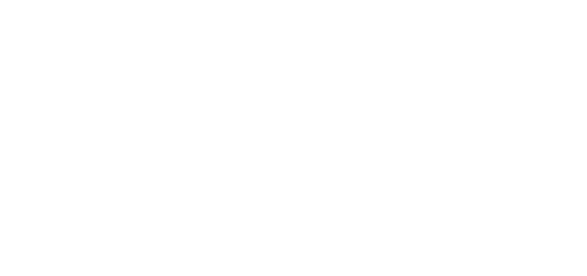 Formiga Web Design white logo